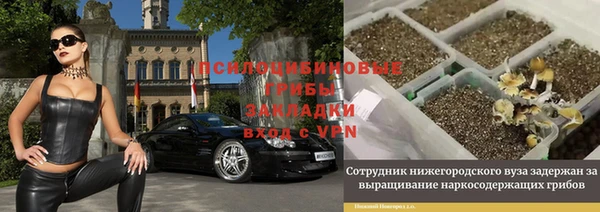 mdma Богданович