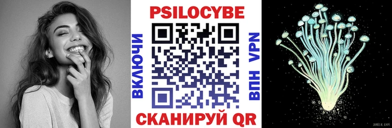 Купить закладки  Курчалой  Галлюциногенные грибы Psilocybe 